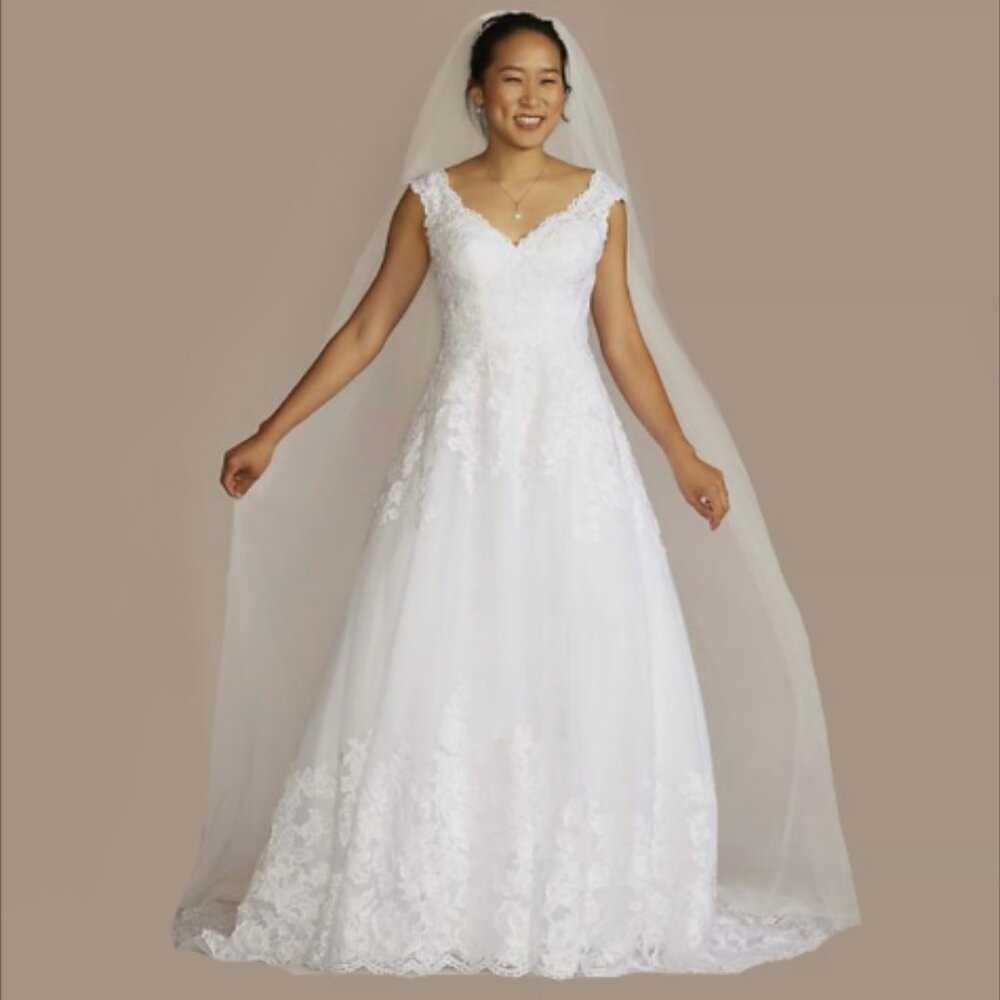 NWT: Size 16W David's Bridal Scalloped Lace & Tulle Wedding Dress Style: 9WG38